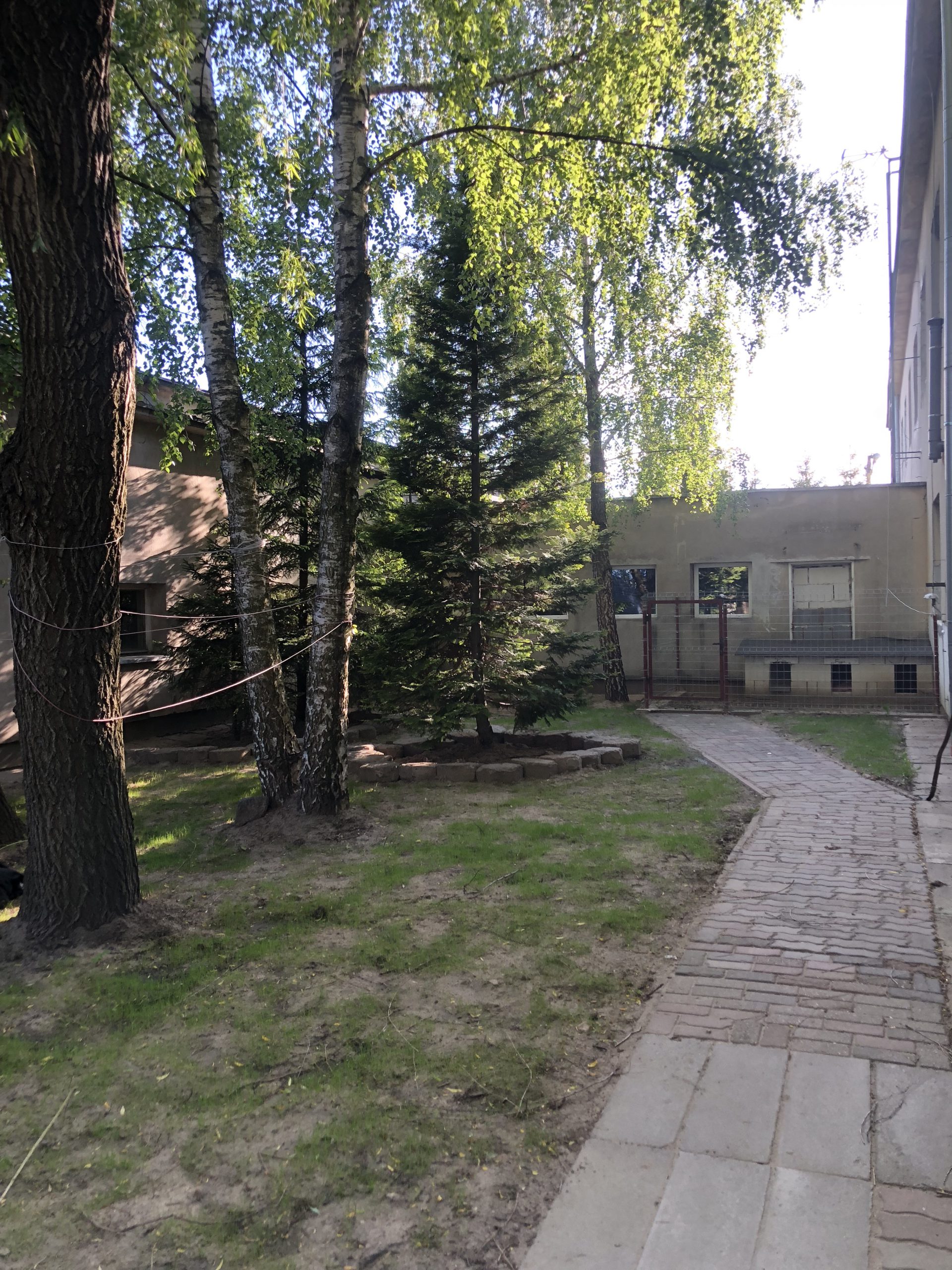 Ogród